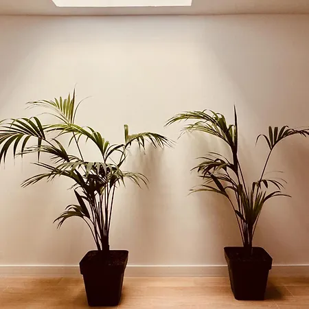 Click&guest - Jungle House In Maspalomas Holiday home *