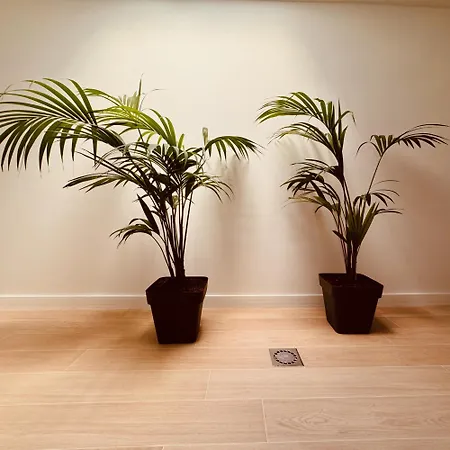 Click&guest - Jungle House In Maspalomas Holiday home